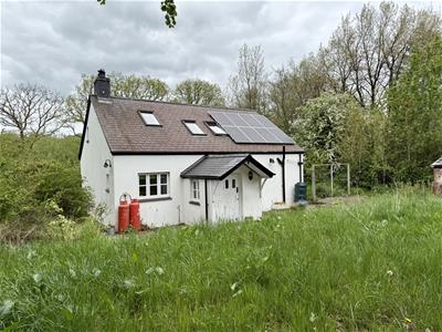 Picture 15